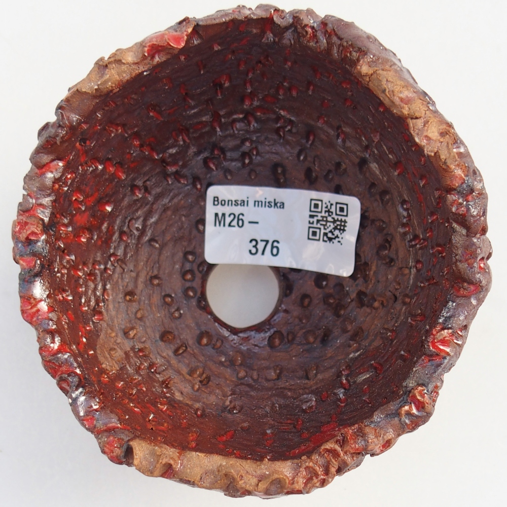 Conchiglia in ceramica 10 x 9,5 x 8 cm , colore marrone