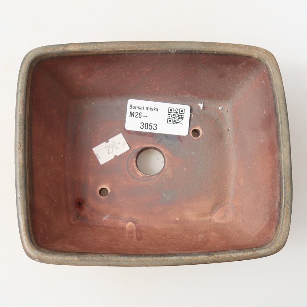Vaso da bonsai in ceramica 15 x 12,5 x 5,5 cm, colore marrone