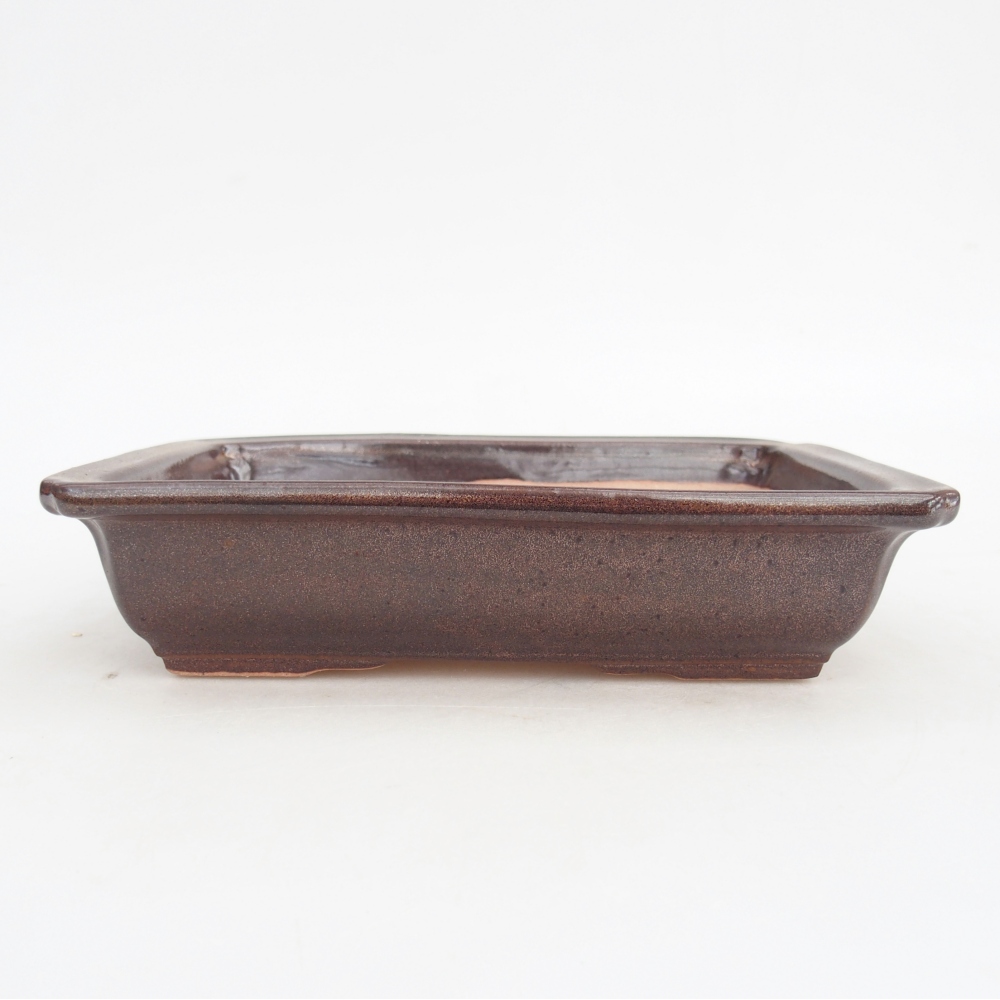 Ciotola per bonsai in ceramica 18 x 13,5 x 4,5 cm, marrone