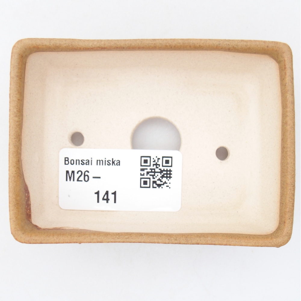 Mini bonsai 8 x 6 x 2,5 cm, marrone