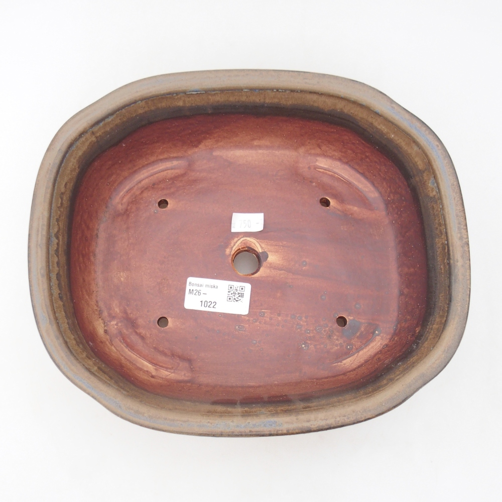 Ciotola per bonsai in ceramica 25 x 21,5 x 7,5 cm, marrone