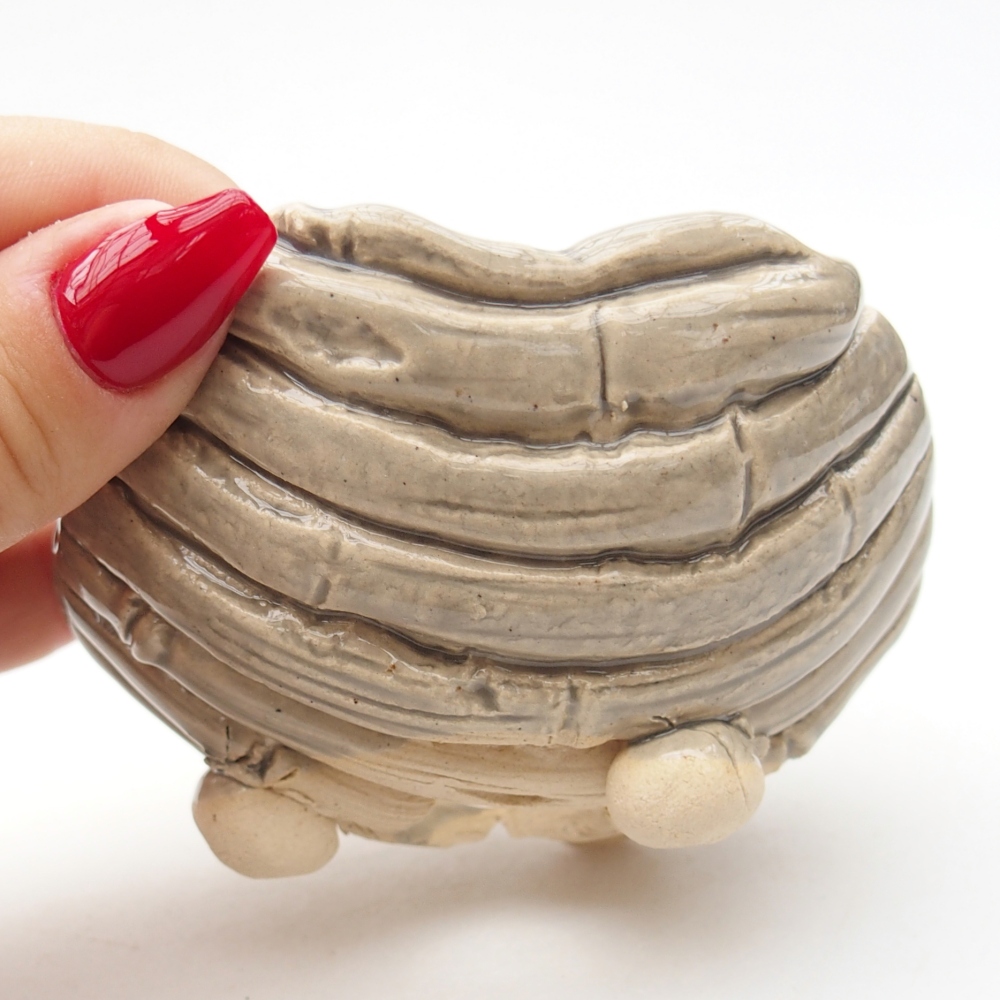 Conchiglia in ceramica 8,5 x 8,5 x 6 cm , colore beige