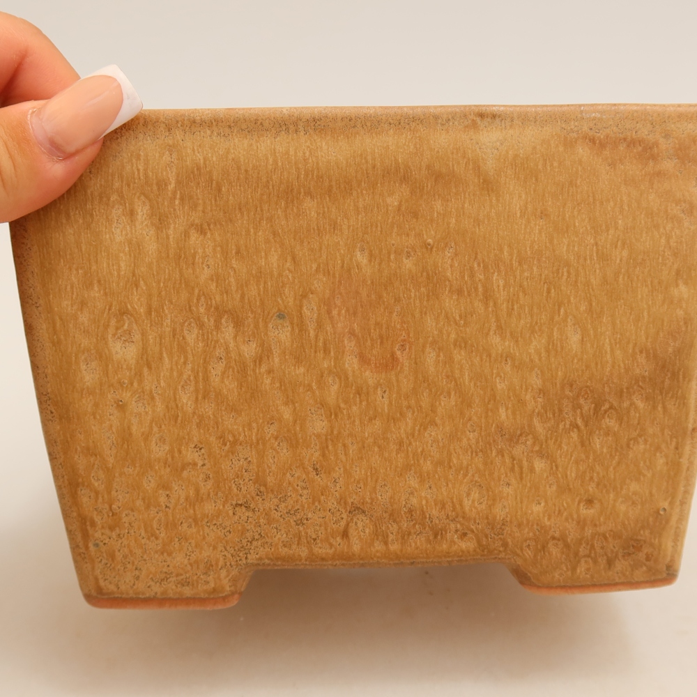 Vaso da bonsai in ceramica 15 x 15 x 10,5 cm, colore beige