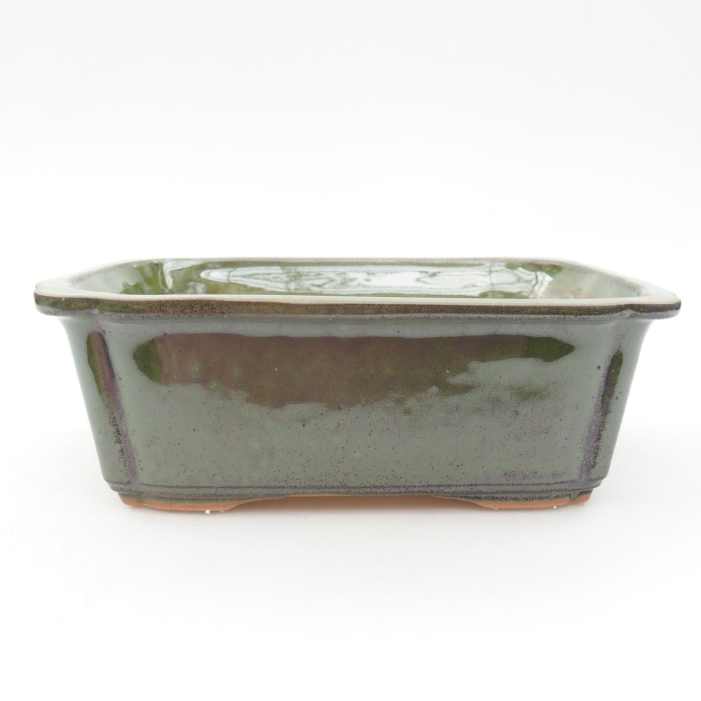 Ciotola per bonsai in ceramica 17,5 x 12,5 x 6 cm, verde