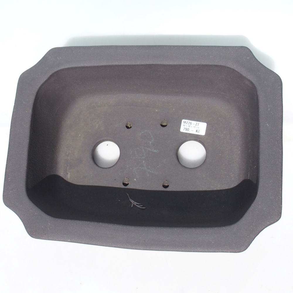 Ciotola per bonsai 40 x 30 x 12 cm - marrone