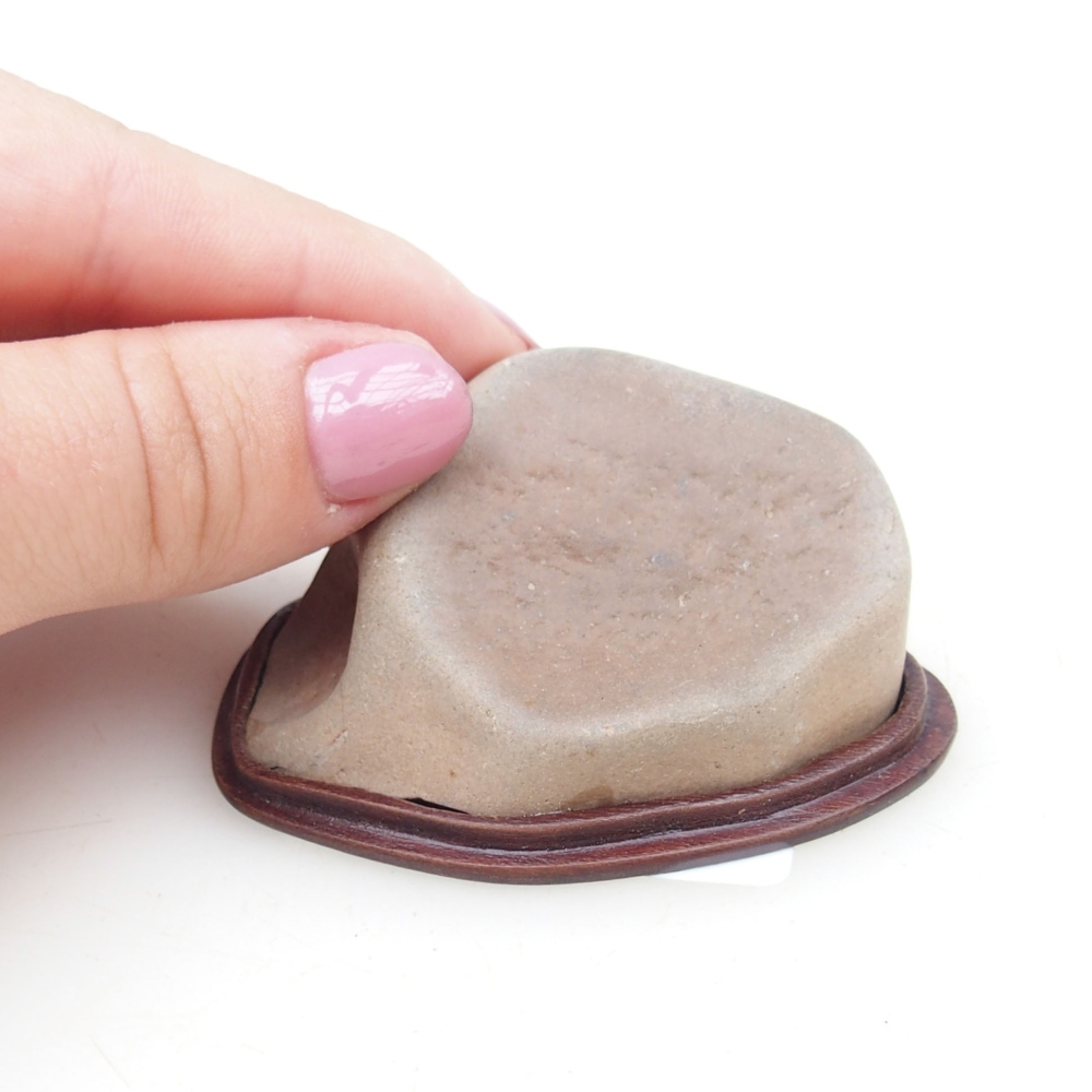 Suiseki - Pietra con DAI (base in legno)