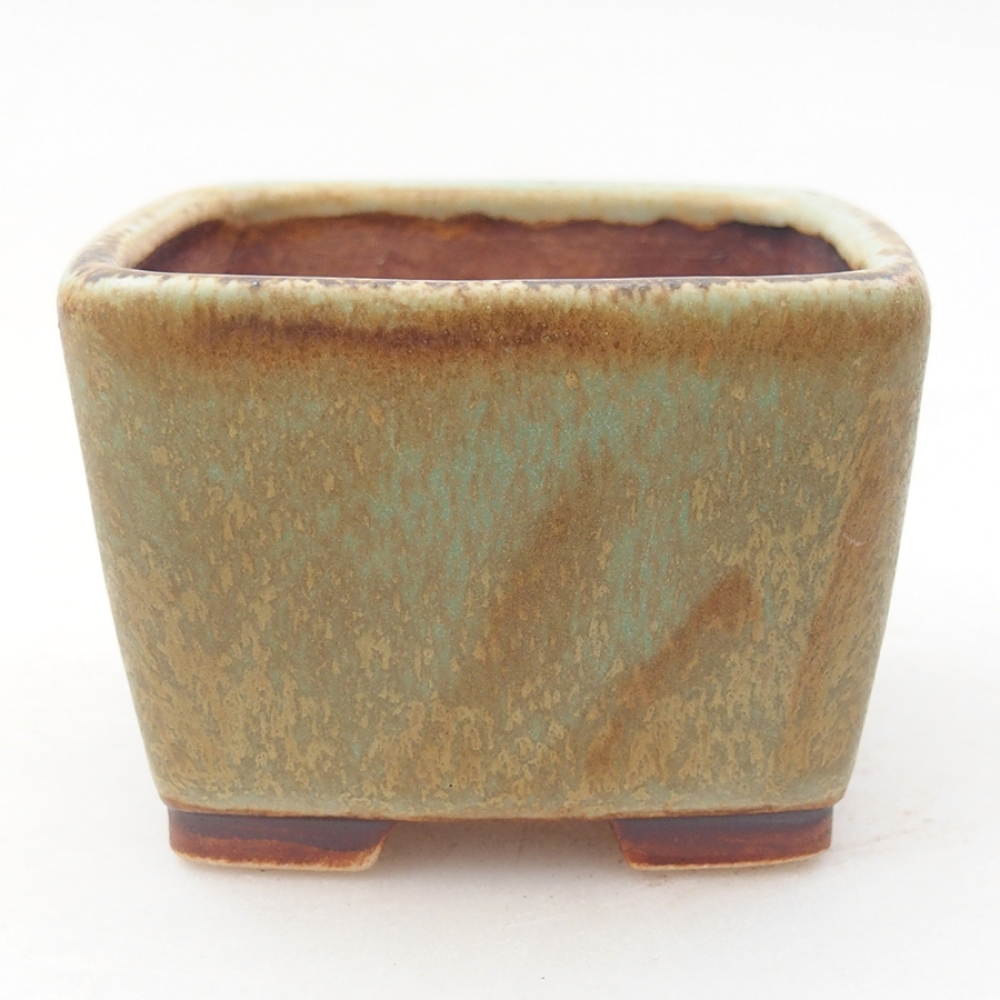 Ciotola per bonsai in ceramica 6 x 6 x 4,5 cm, verde