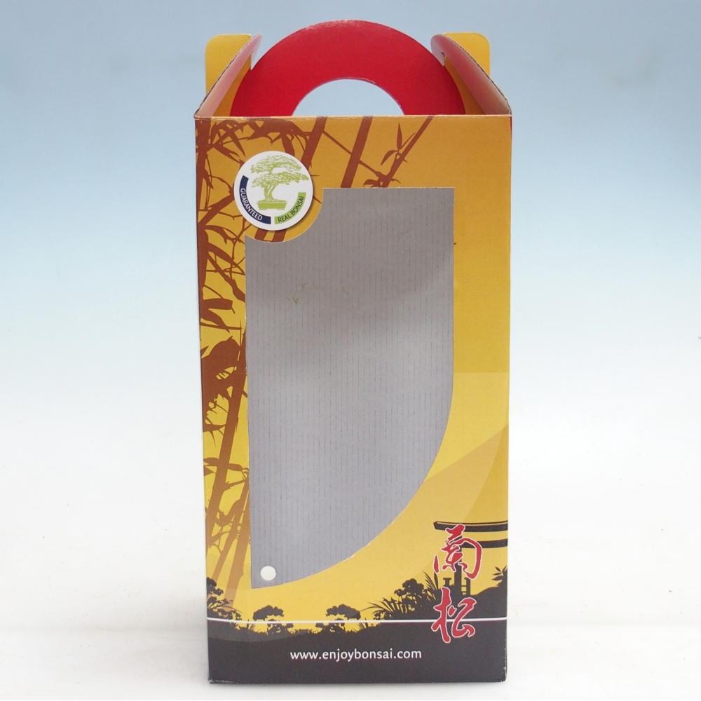 Scatola regalo per bonsai - carta