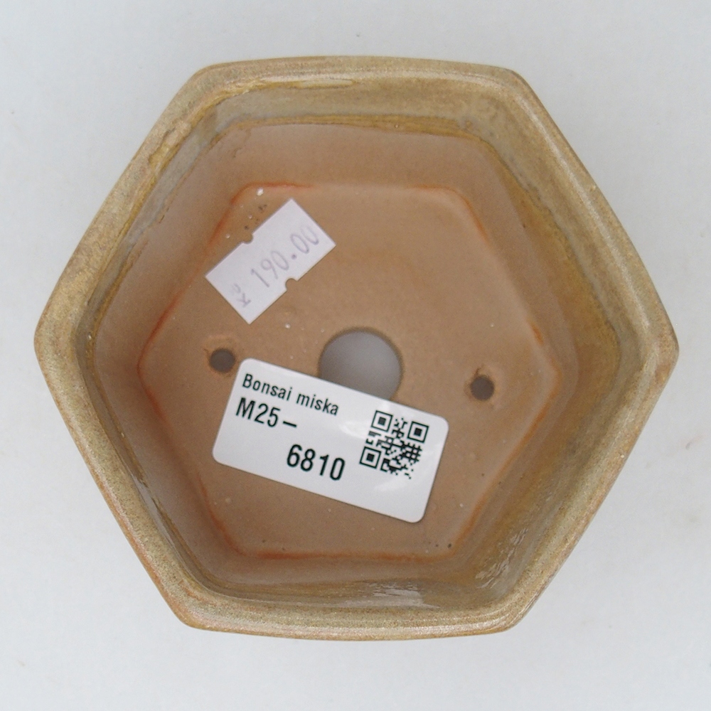 Ciotola per bonsai in ceramica 10,5 x 9,5 x 5 cm, colore beige