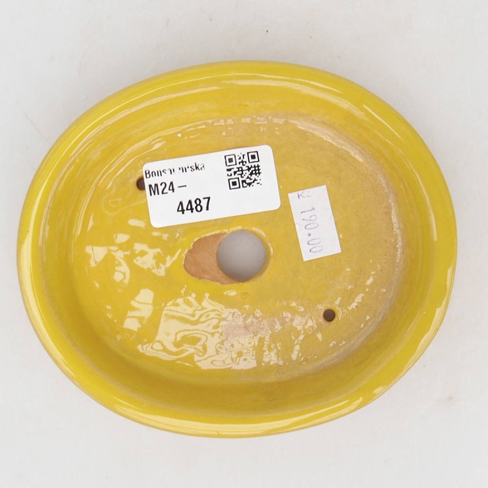 Ciotola bonsai in ceramica 13 x 11 x 2,5 cm, giallo