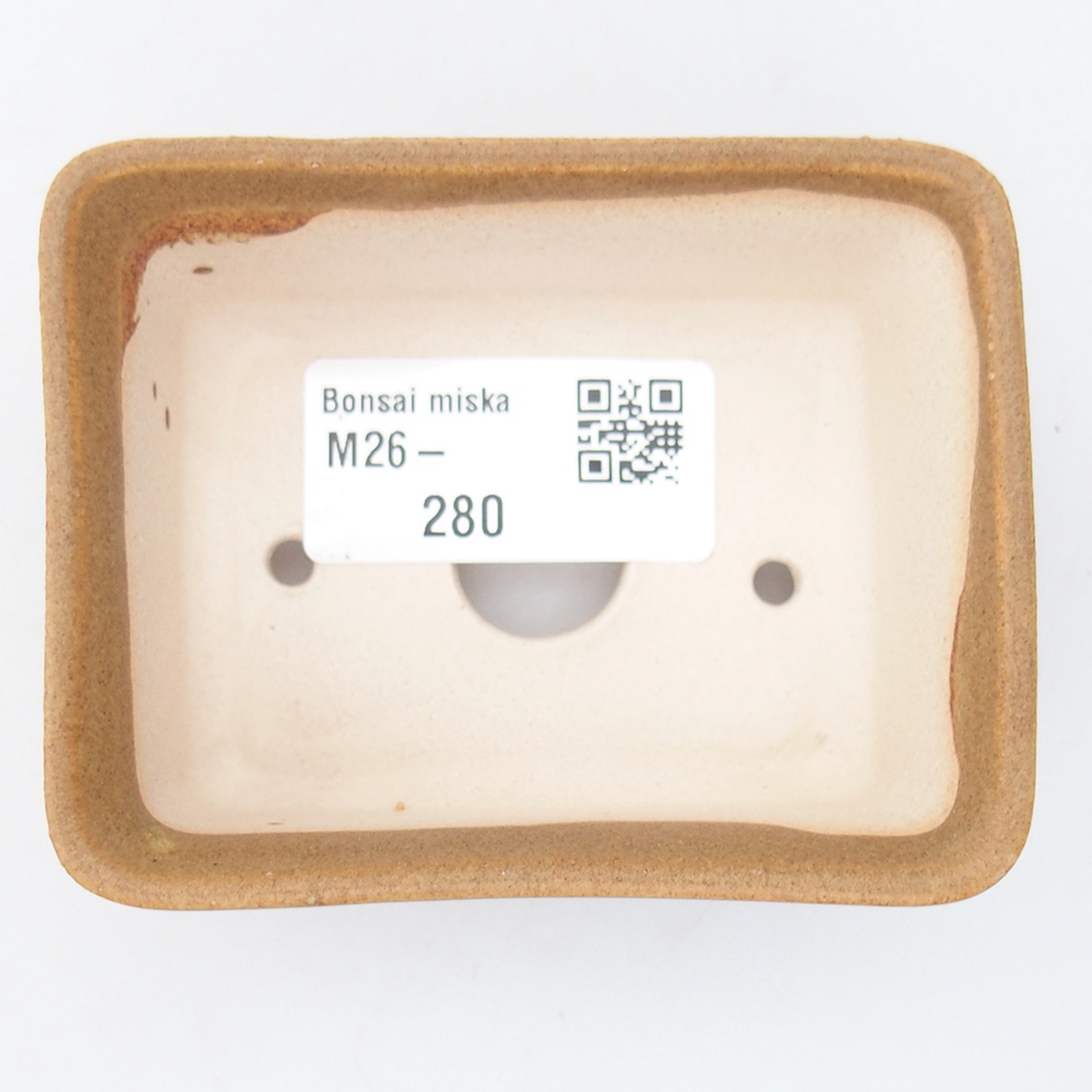 Mini bonsai 8 x 6,5 x 3,5 cm, marrone