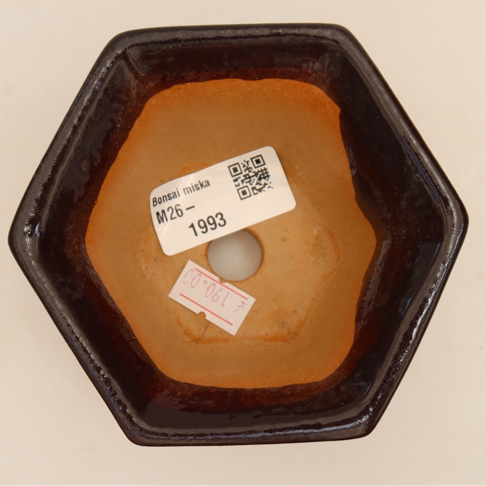 Vaso da bonsai in ceramica 10,5 x 9,5 x 5,5 cm, colore nero
