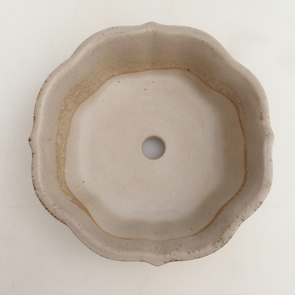 Ciotola per bonsai H06 - 14,5 x 14,5 x 5 cm - beige