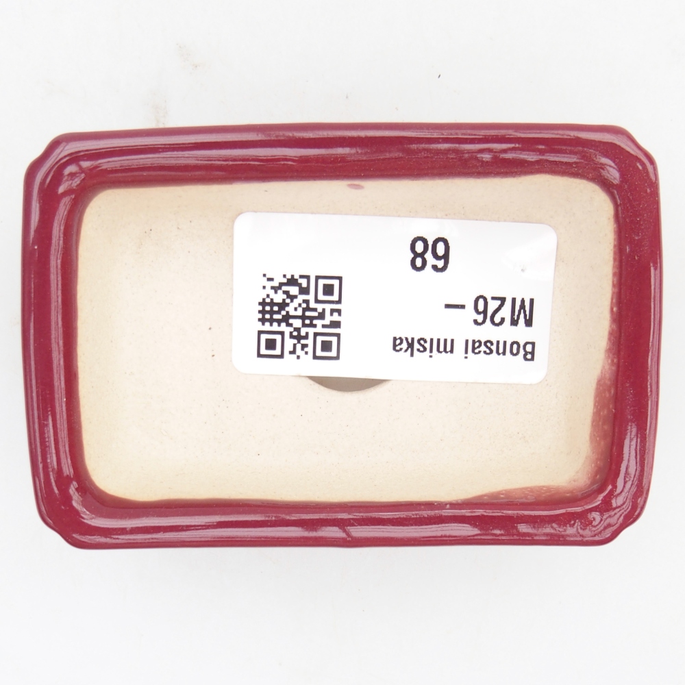 Mini bonsai 7,5 x 5 x 2 cm, bordeaux