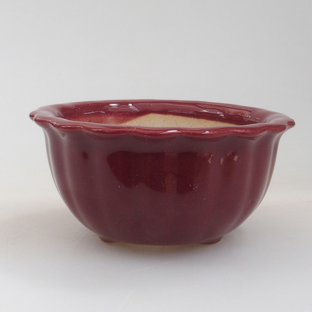 Ciotola per mini bonsai 6,5 x 6,5 x 3,5 cm, bordeaux