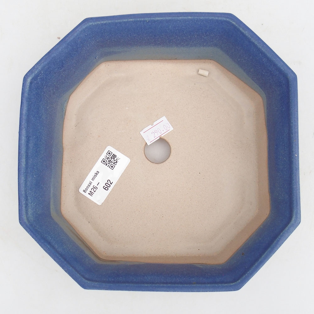 Ciotola bonsai in ceramica 17,5 x 17,5 x 6 cm, colore blu