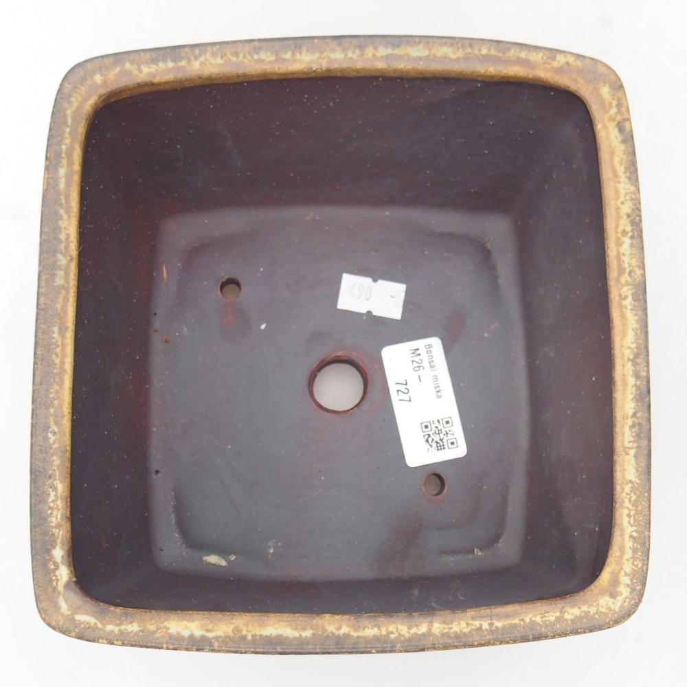 Ciotola bonsai in ceramica 16 x 16 x 10 cm, verde