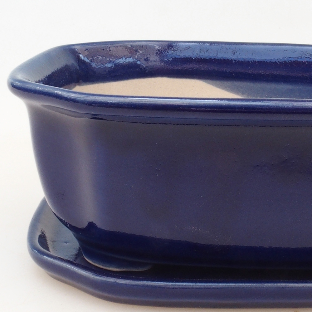 Ciotola bonsai + piattino H31 - blu