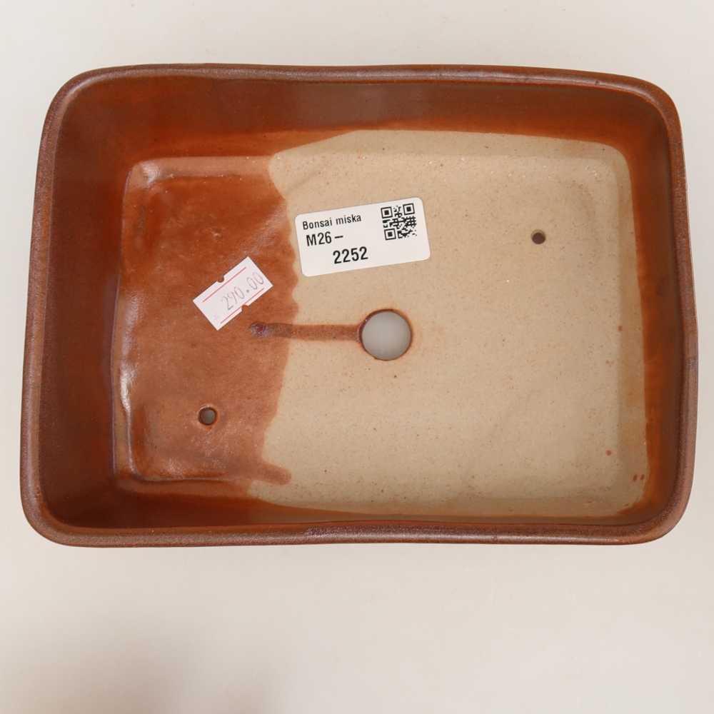 Vaso da bonsai in ceramica 18 x 13 x 5 cm, colore bordeaux