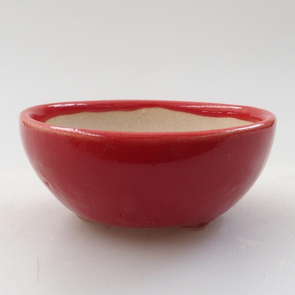 Mini bonsai 6 x 6 x 2,5 cm, colore rosso