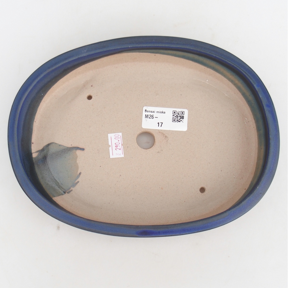 Ciotola bonsai in ceramica 22,5 x 17 x 4,5 cm, colore blu