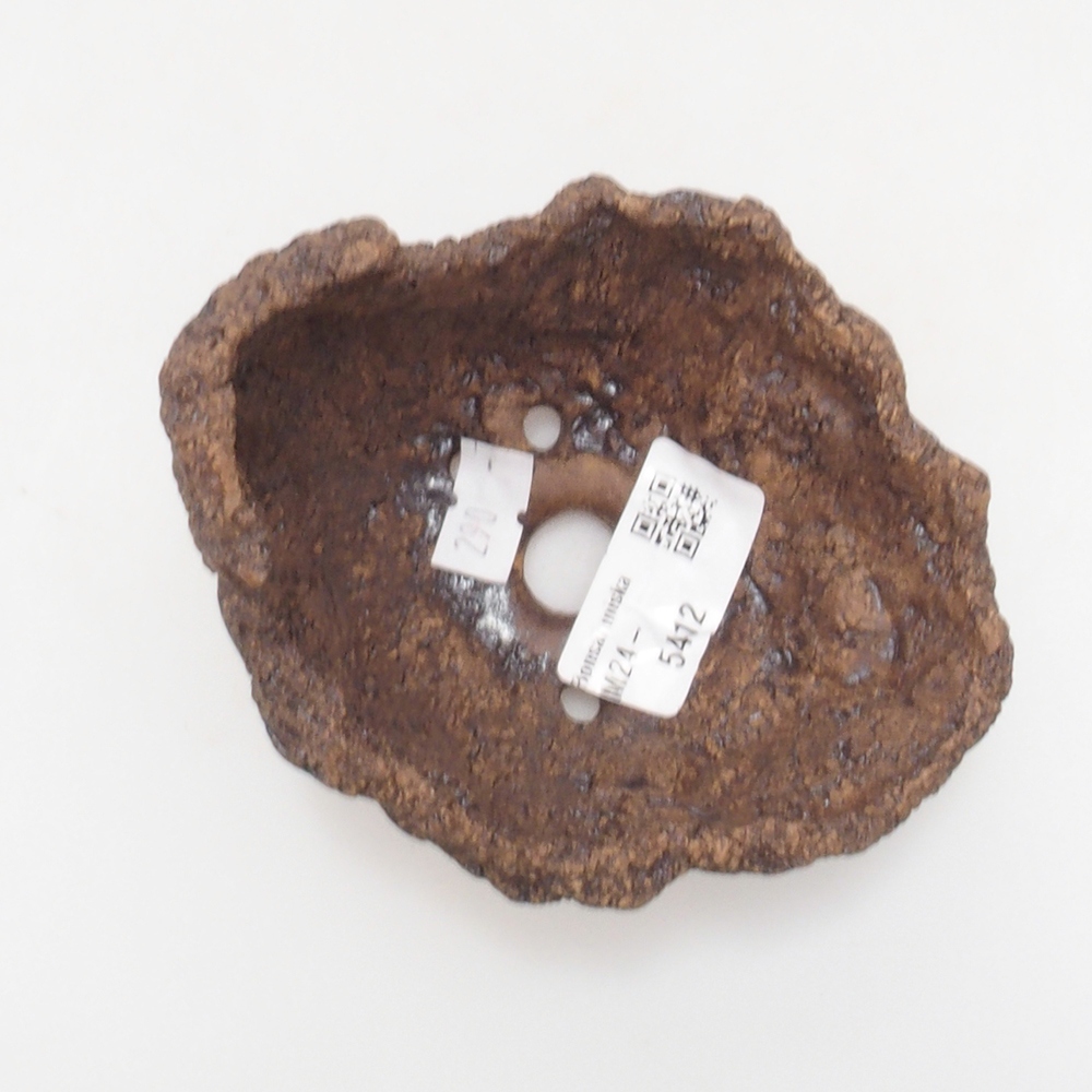 Conchiglia in ceramica 9 x 8 x 8,5 cm , colore marrone