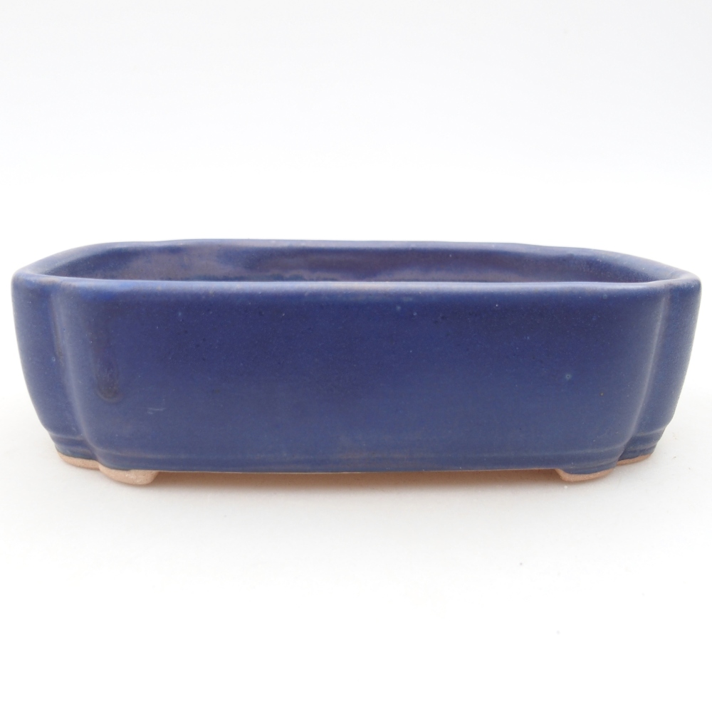 Ciotola per bonsai in ceramica 15,5 x 11,5 x 4 cm, colore blu