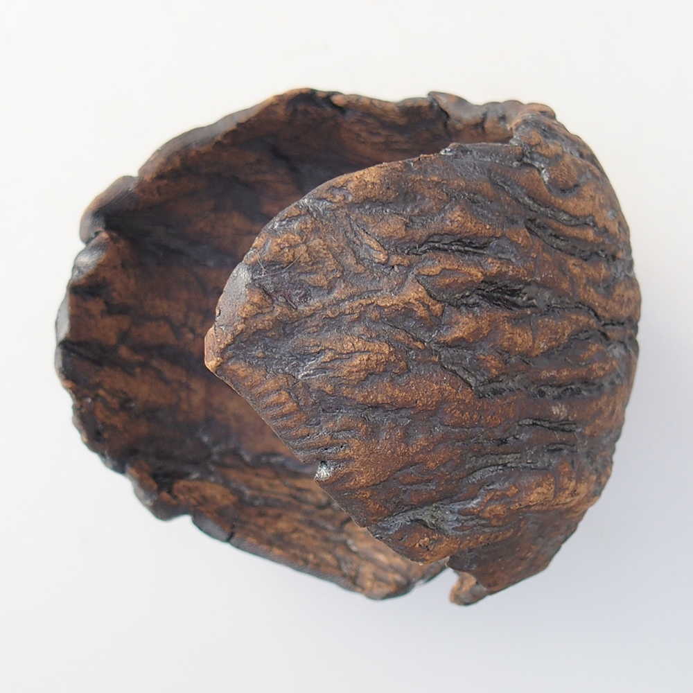 Conchiglia in ceramica 9,5 x 9 x 12 cm , colore marrone