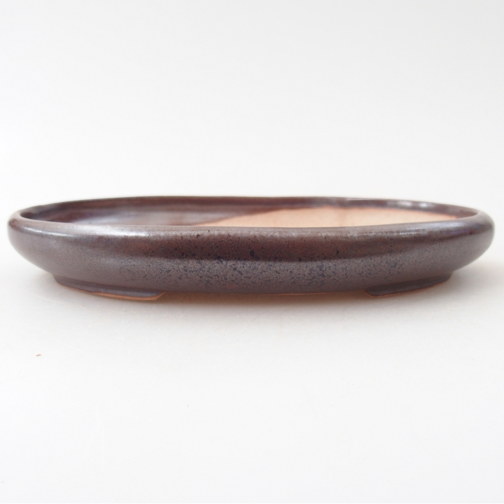 Ciotola per bonsai in ceramica 17 x 12,5 x 2 cm, marrone
