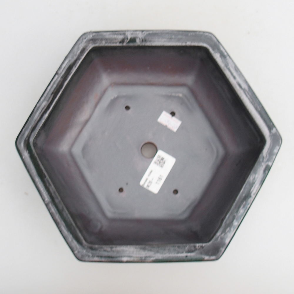 Ciotola bonsai in ceramica 23 x 21 x 7,5 cm, verde