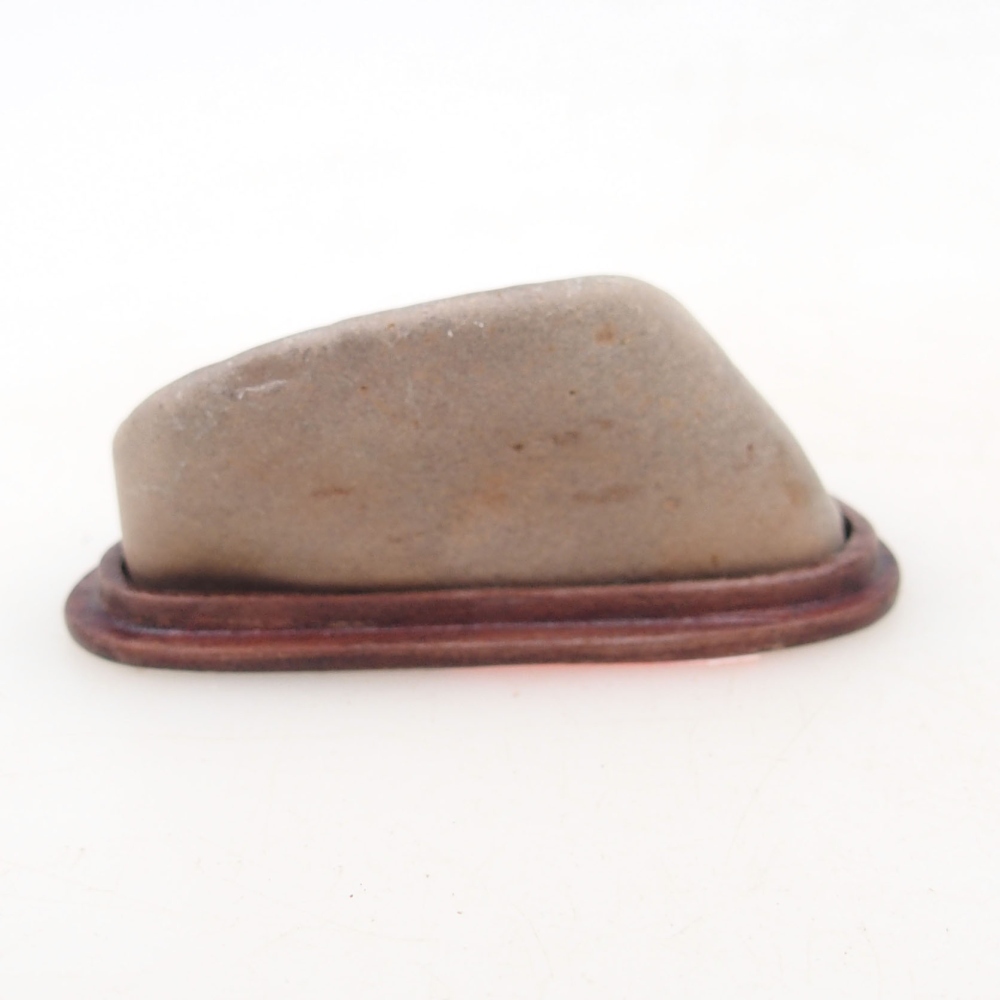Suiseki - Pietra con DAI (base in legno)
