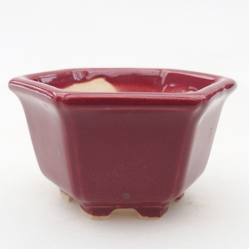 Ciotola mini bonsai 5 x 4,5 x 3 cm, bordeaux