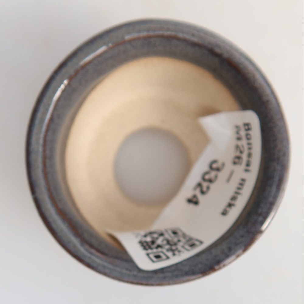 Vaso da bonsai in ceramica 4,5 x 4,5 x 2,5 cm, colore grigio