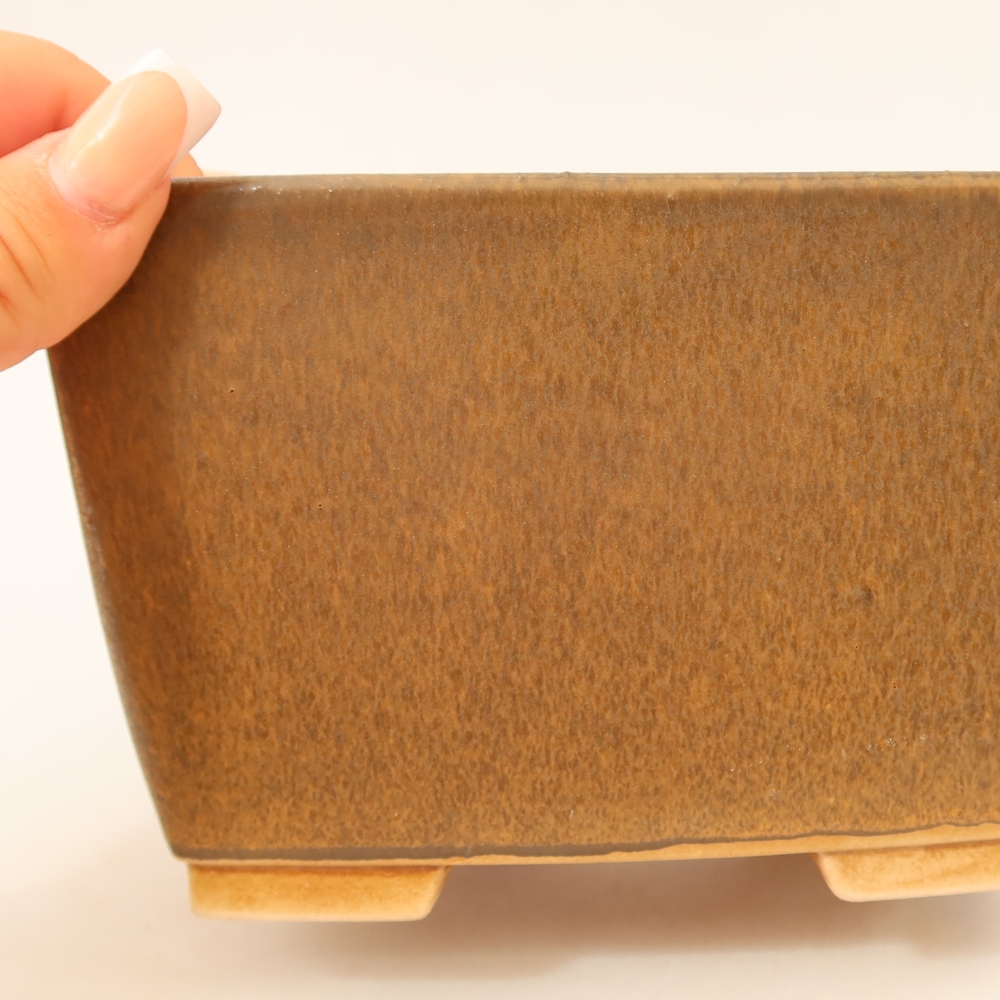 Ciotola per bonsai in ceramica 16 x 16 x 10 cm, marrone