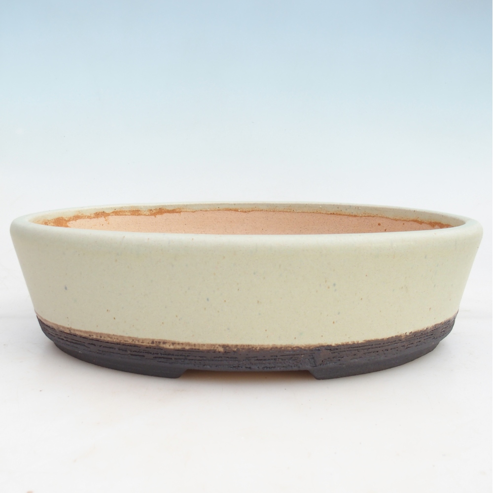 Ciotola bonsai 33 x 25 x 9 cm , colore verde