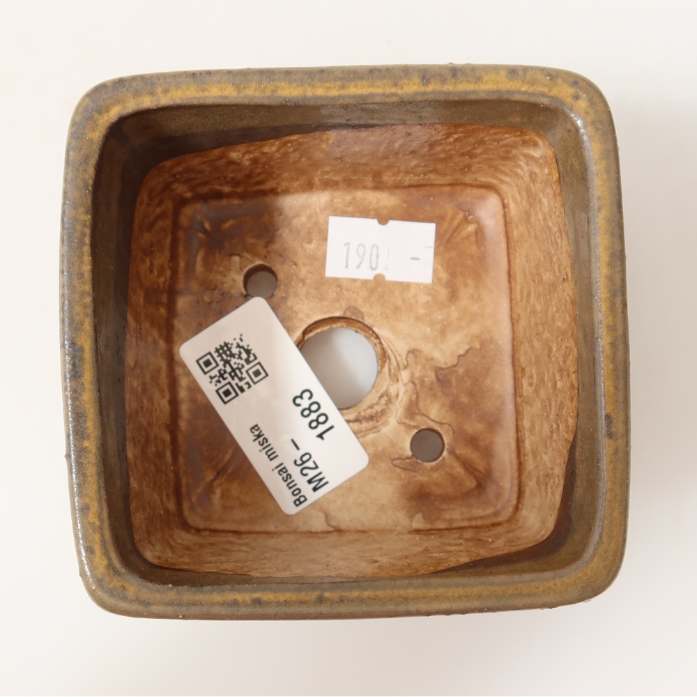 Ciotola per bonsai in ceramica 8,5 x 8,5 x 5,5 cm, marrone