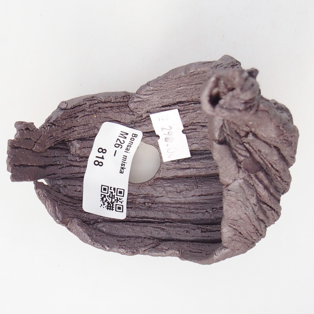 Conchiglia in ceramica 10 x 8 x 14,5 cm , colore metallizzato