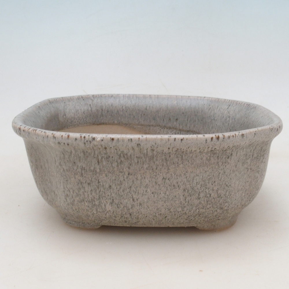 Ciotola per bonsai H31 - 14 x 12 x 5,5 cm - beige