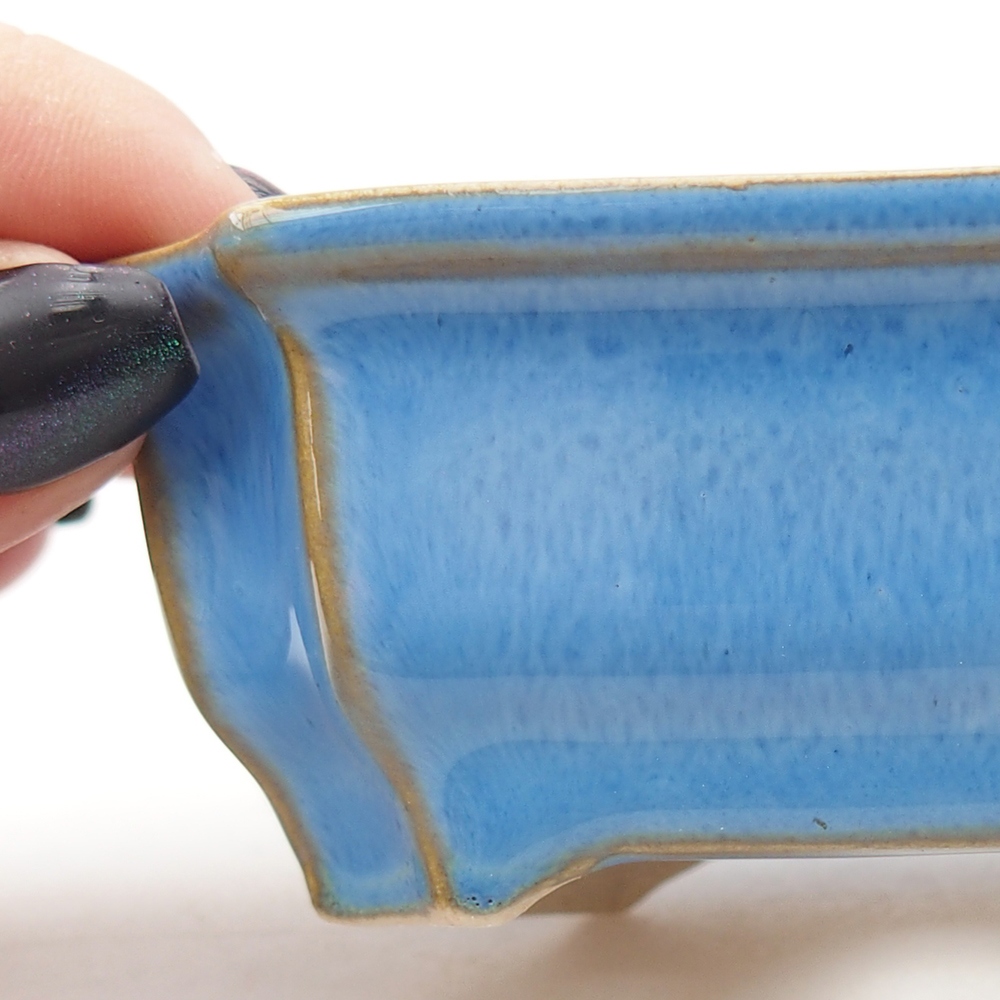 Mini bonsai 9 x 6,5 x 3,5 cm, colore blu