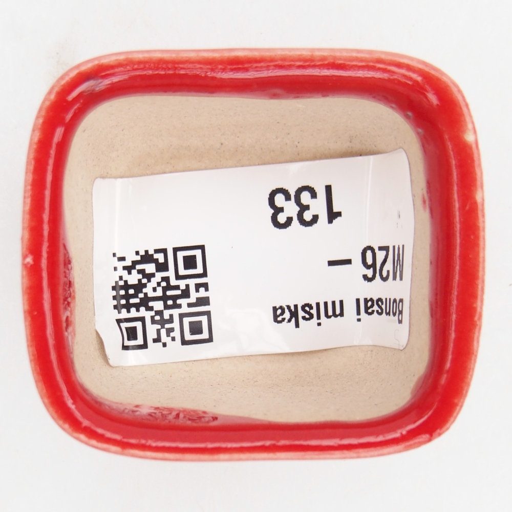 Mini bonsai 4 x 3,5 x 2,5 cm, colore rosso