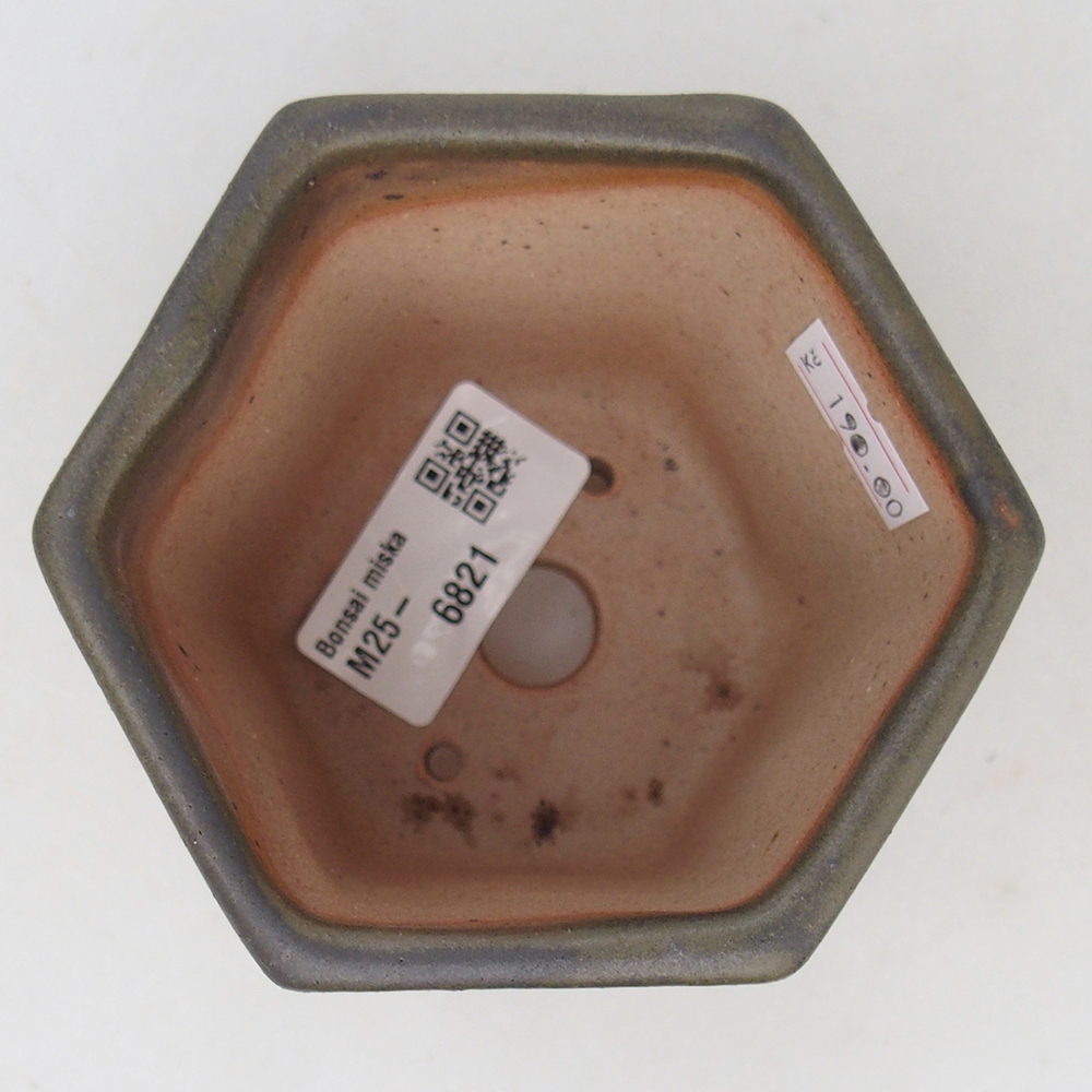 Ciotola per bonsai in ceramica 9,5 x 8,5 x 8 cm, verde