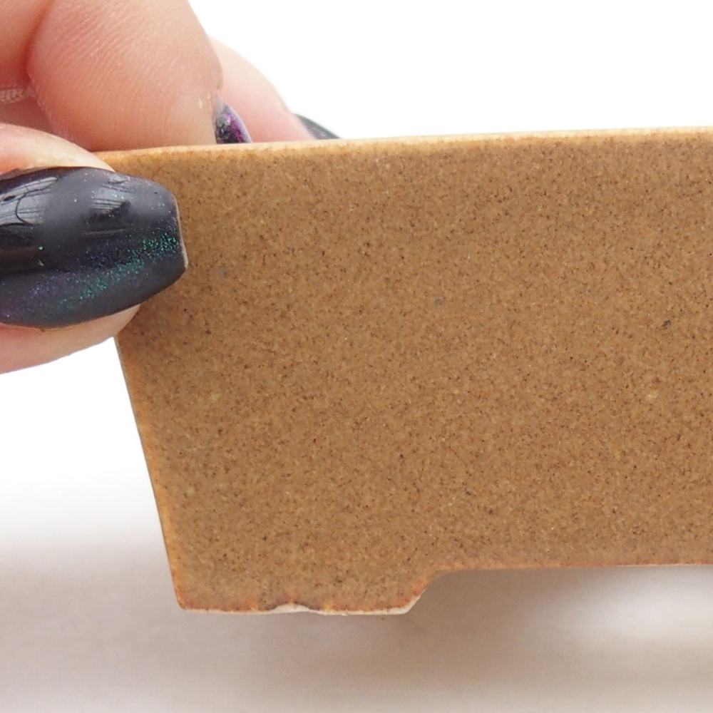 Mini bonsai 9 x 6,5 x 3,5 cm, marrone