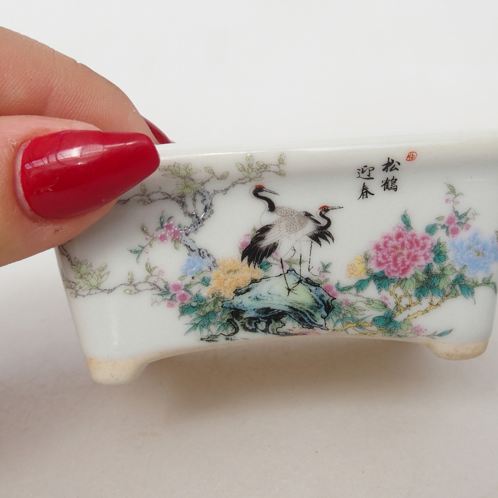 Mini bonsai 8 x 6,5 x 3,5 cm, bianco