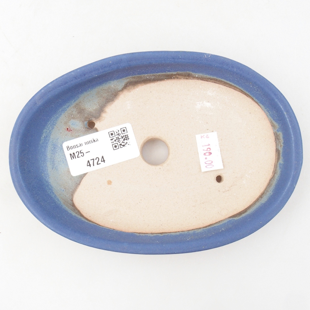 Ciotola per bonsai in ceramica 15,5 x 11 x 3 cm, colore blu