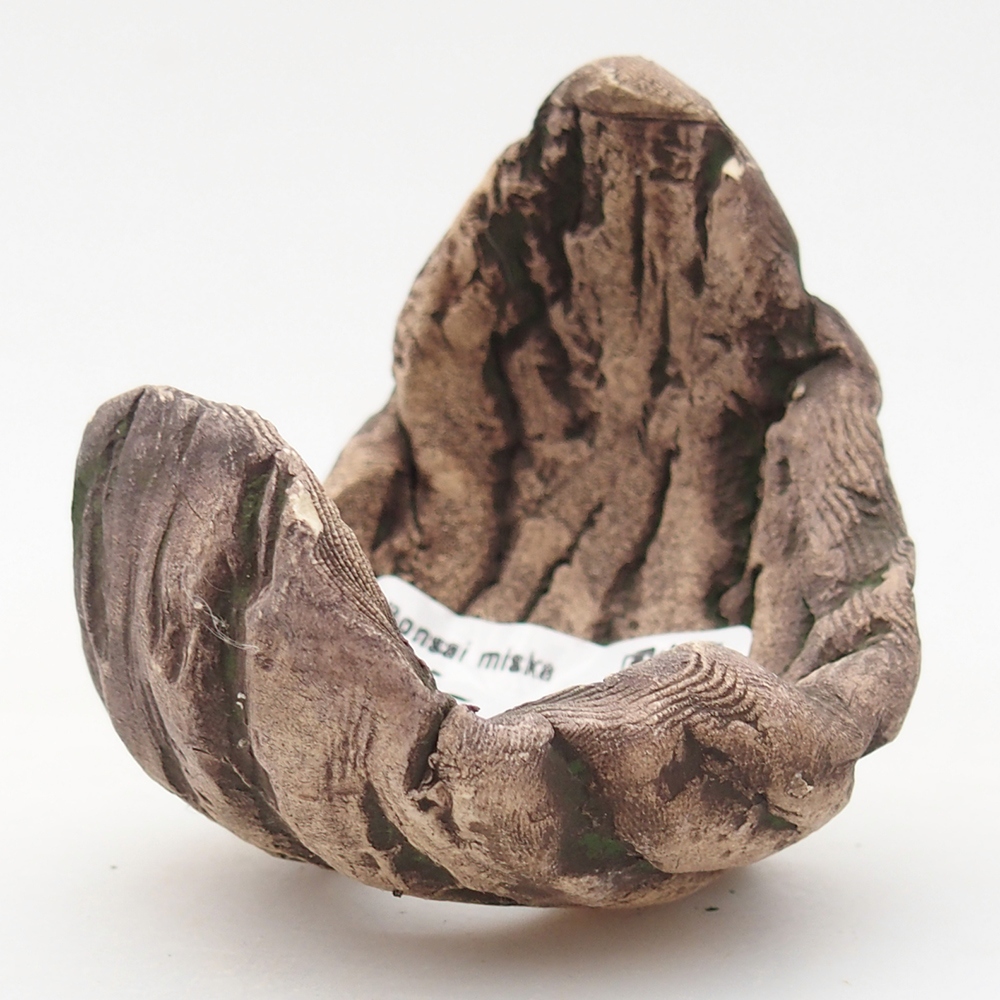 Conchiglia in ceramica 6,5 x 6,5 x 8 cm , colore verde