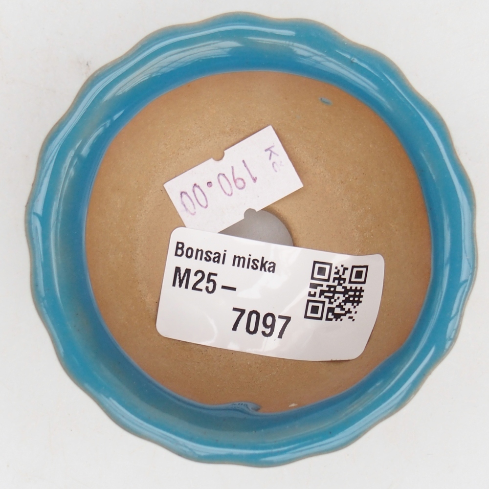 Ciotola bonsai in ceramica 26 x 26 x 8 cm, colore rosso