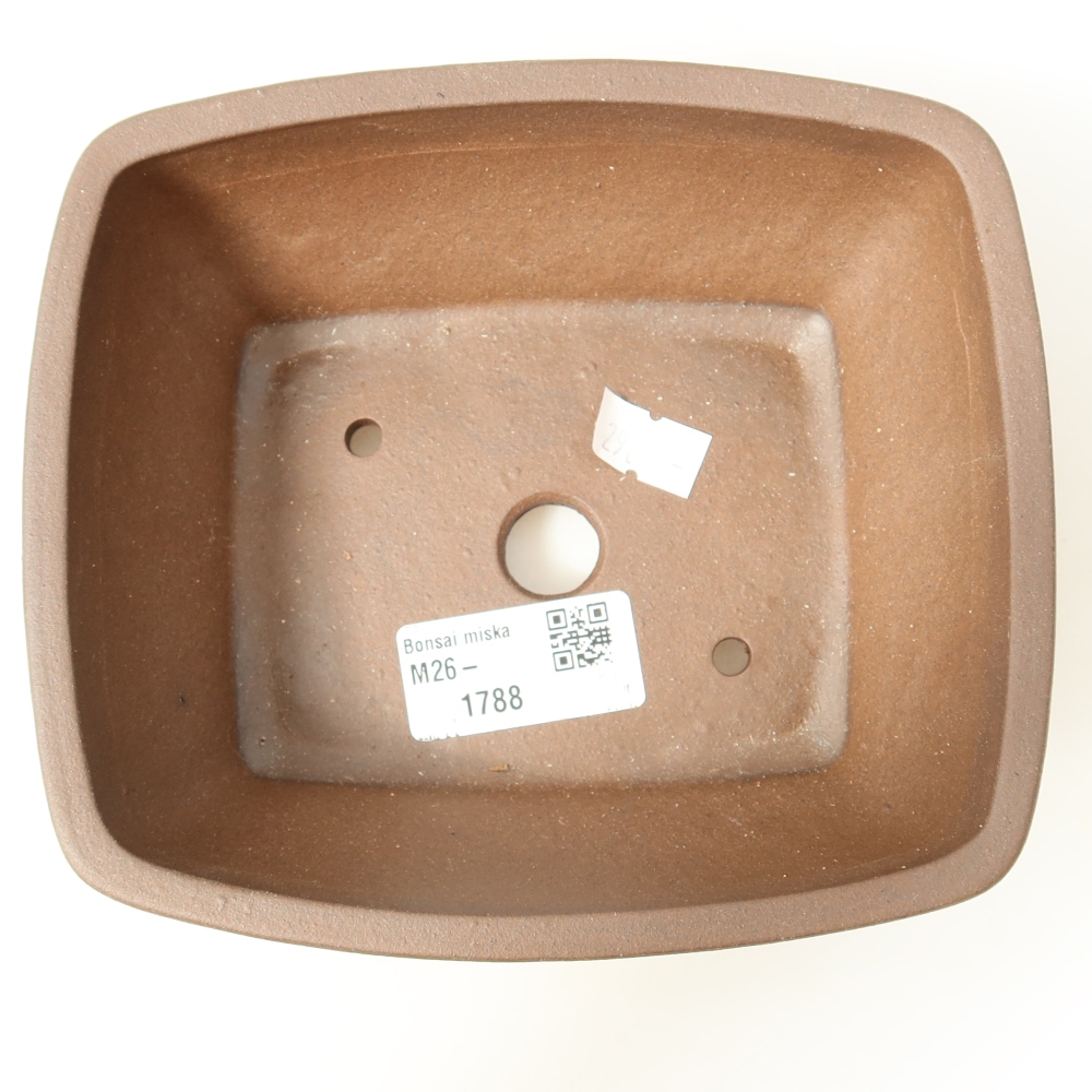 Vaso da bonsai in ceramica 15 x 13,5 x 5,5 cm, colore marrone