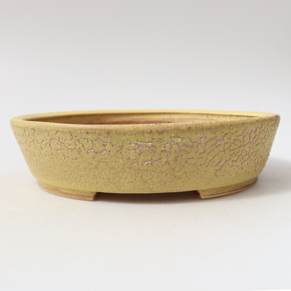 Vaso da bonsai in ceramica 18,5 x 16,5 x 4,5 cm, colore giallo