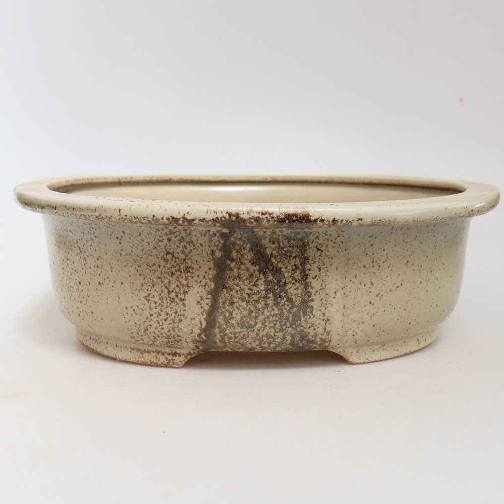 Ciotola bonsai in ceramica 26 x 22 x 8 cm, colore beige