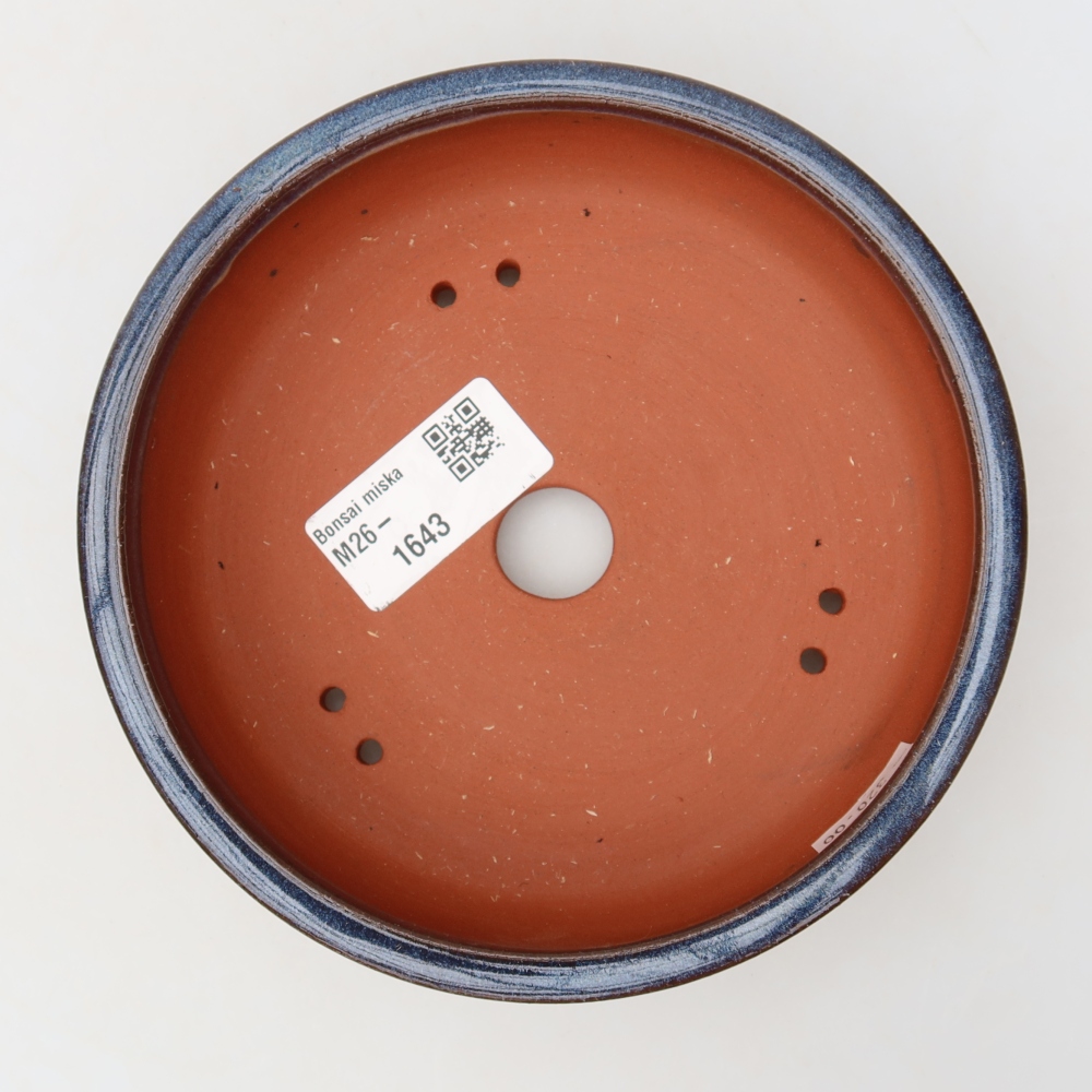 Vaso da bonsai in ceramica 14 x 14 x 4 cm, colore blu